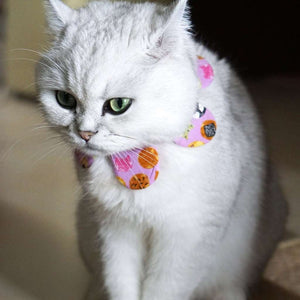 燒餅貓咪花花圍巾