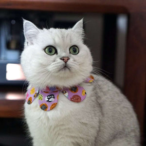 燒餅貓咪花花圍巾