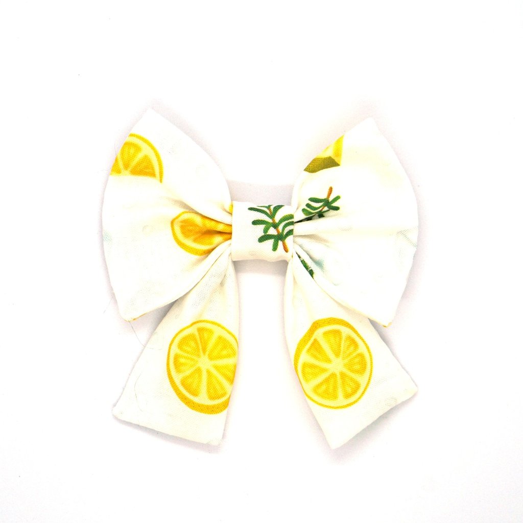 檸檬汽水寵物頸帶連簡約煲呔套裝-現貨-S